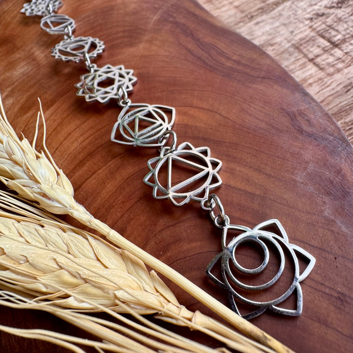 Collar Plateado De Chakras